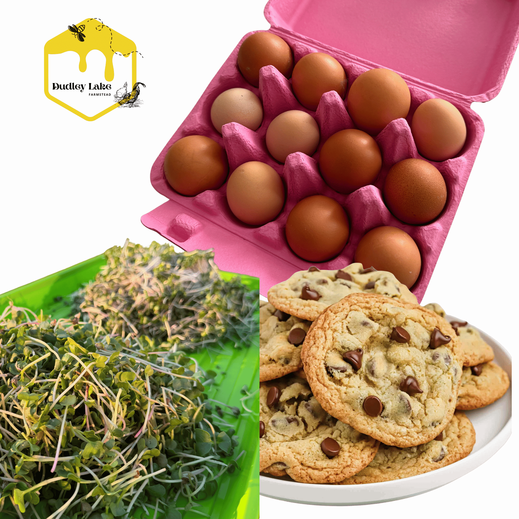 Bundle: Doz Eggs, 3 Cookies, 2oz Broccoli Micro Greens
