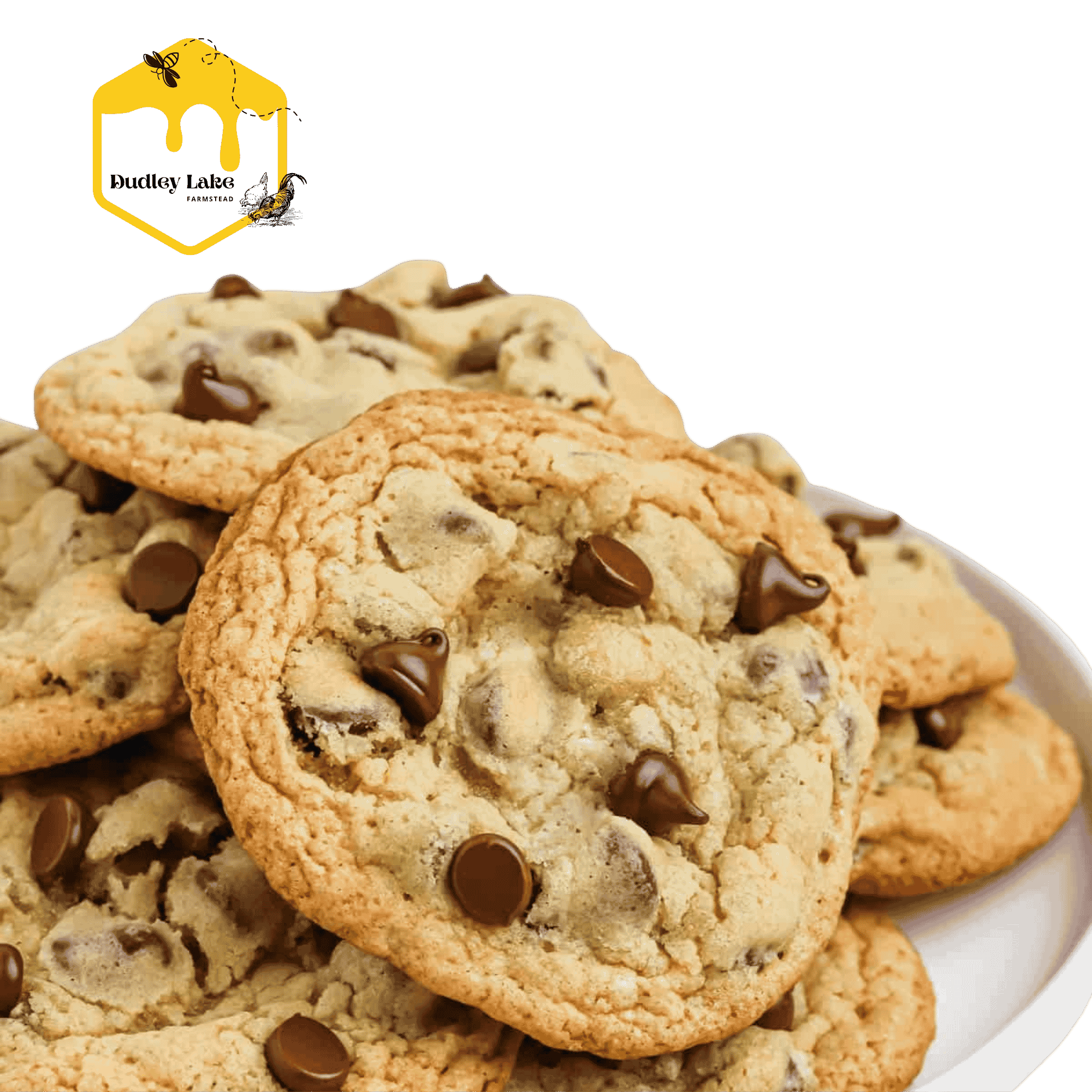 3 Pack Of Chocolate Chip Cookies