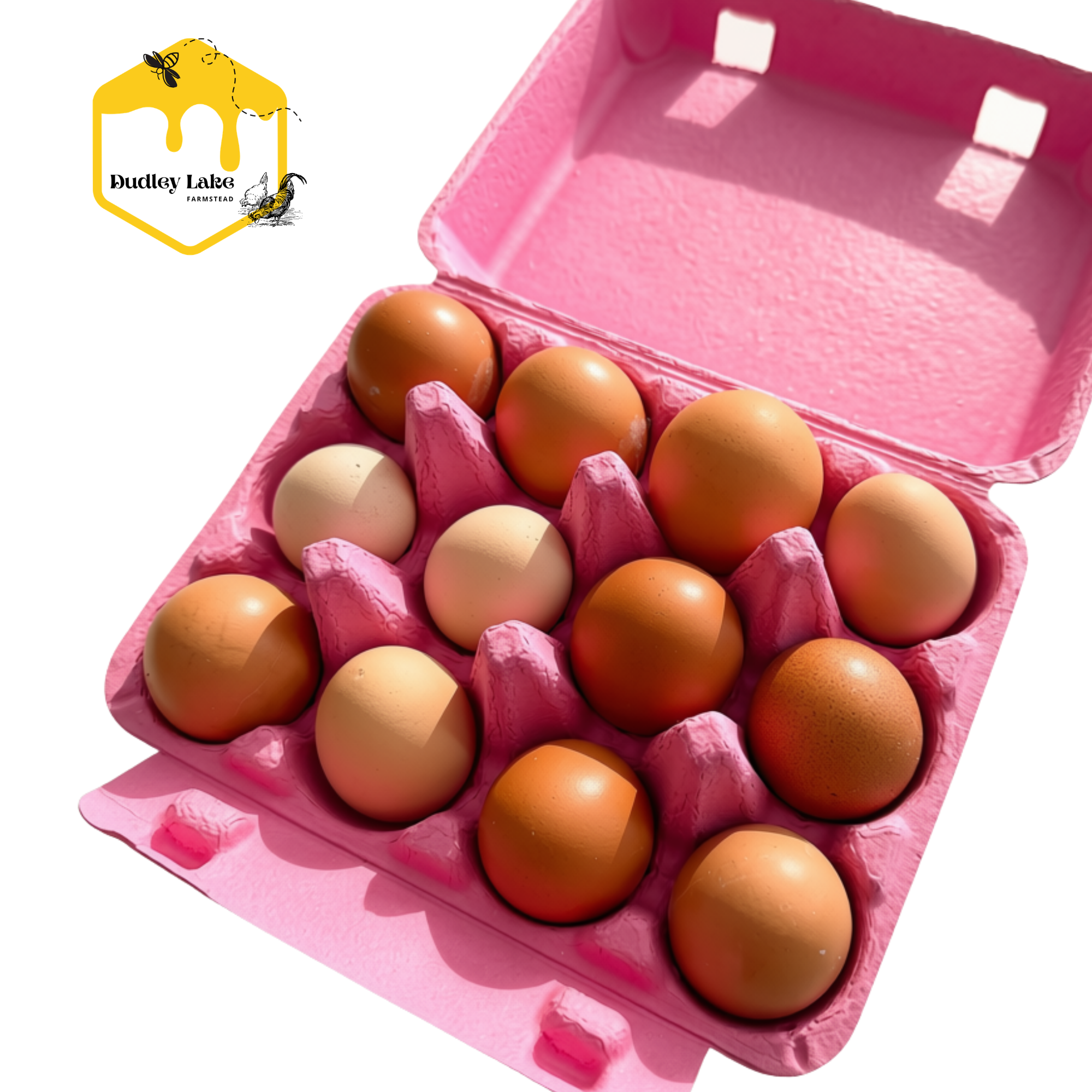 Local Fresh Eggs